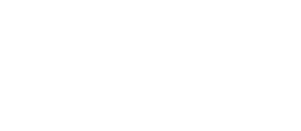 Fdds Logo Strona główna - Fundacja Dajemy Dzieciom Siłę